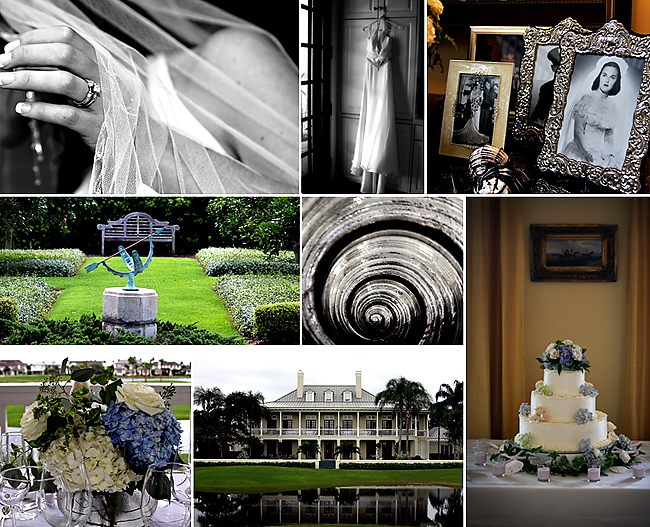 collage2