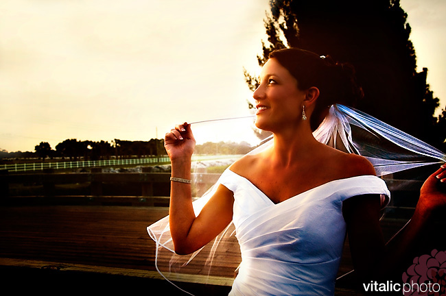 JH_1 bride sunlight photo, bride with veil, bride pointe west vero beach