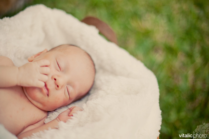 owen06 newborn photography, infant, baby, vitalic photo, vero beach, sebastian, children, family portraits