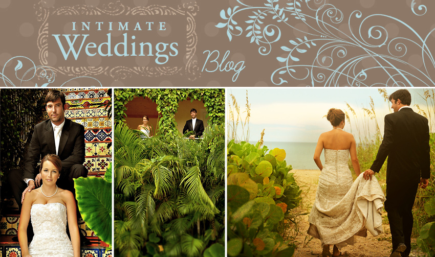 bog intimate weddings blog