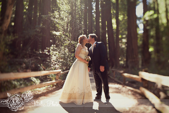 muir woods, muir woods wedding, redwood forest, muir woods wedding photography, muir woods wedding photos, muir woods photograph, muir woods wedding ceremony