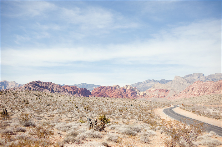 las vegas, las vegas desert, red rock canyon, desert scene