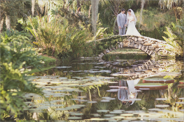 anne and attila, mckee garden wedding, mckee garden wedding photography, mckee garden wedding photographer, mckee garden wedding, mckee wedding, mckee gardens, mckee gardens wedding, mckee gardens wedding photography, mckee gardens wedding phtoographer, mckee photography, mckee wedding