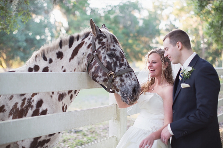 horse couple wedding