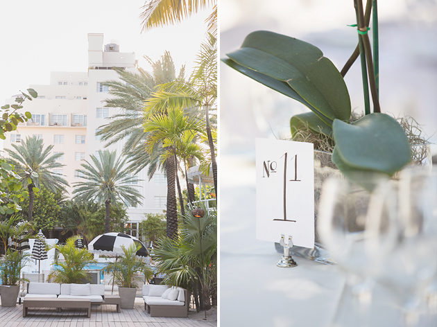 raleigh hotel, raleigh hotel wedding, miami beach wedding, raleighi miami wedding, south beach wedding, miami wedding photographer, south florida wedding photographer, orchid centerpieces, black and white stripes, simple wedding, vitalic photo, lace wedding dress, blush wedding dress